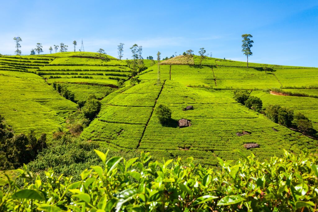 10-scaled-1-1024x682