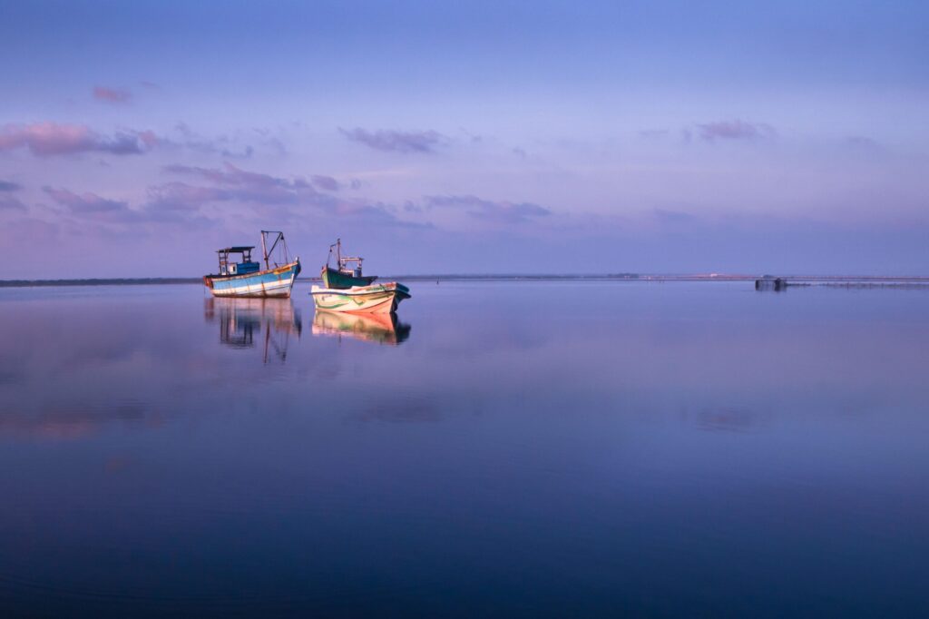 12-scaled-1-1024x682