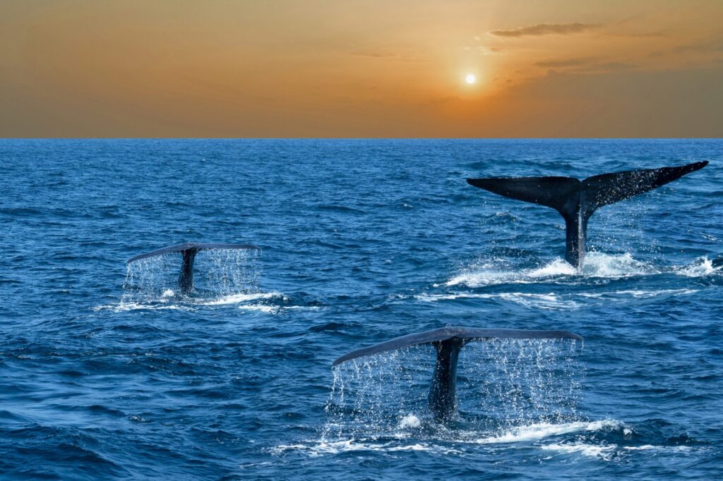 8-2-scaled-1-1024x682